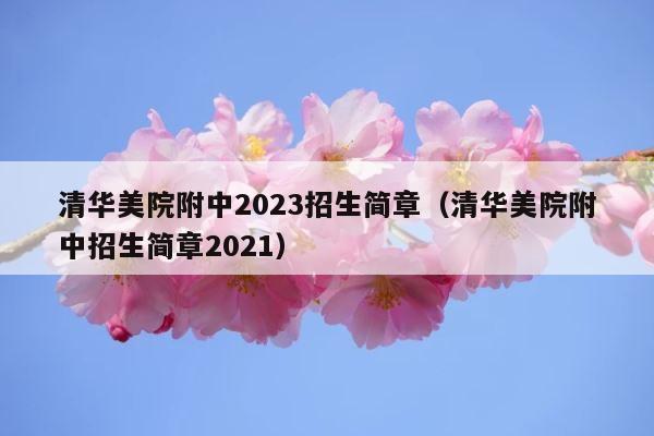 清华美院附中2023招生简章（清华美院附中招生简章2021） 第1张
