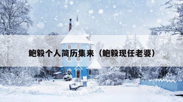 鲍毅个人简历集来（鲍毅现任老婆） 第1张