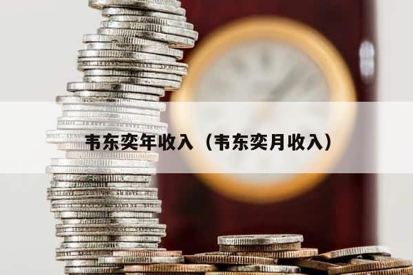 韦东奕年收入（韦东奕月收入） 第1张