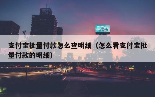 支付宝批量付款怎么查明细（怎么看支付宝批量付款的明细） 第1张