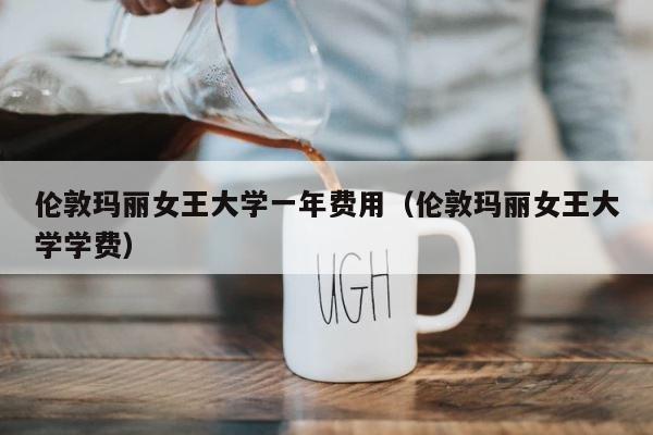 伦敦玛丽女王大学一年费用（伦敦玛丽女王大学学费） 第1张