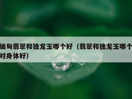 缅甸翡翠和独龙玉哪个好（翡翠和独龙玉哪个对身体好） 第1张