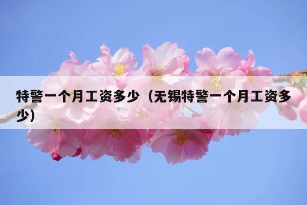 特警一个月工资多少（无锡特警一个月工资多少） 第1张