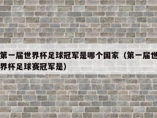 第一届世界杯足球冠军是哪个国家（第一届世界杯足球赛冠军是） 第1张