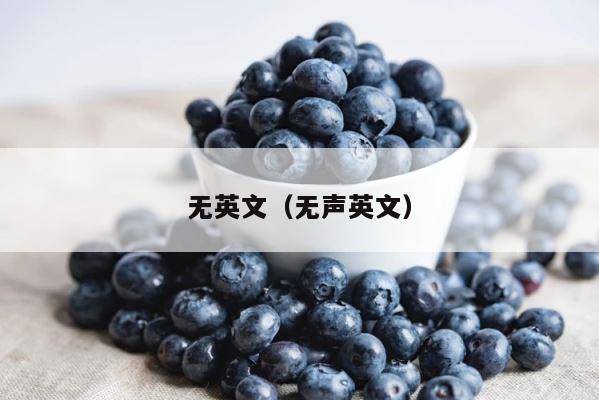 无英文（无声英文） 第1张