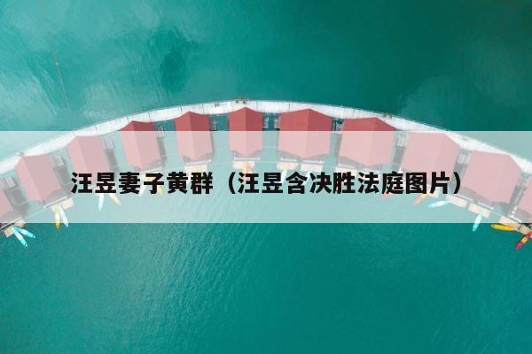 汪昱妻子黄群（汪昱含决胜法庭图片） 第1张