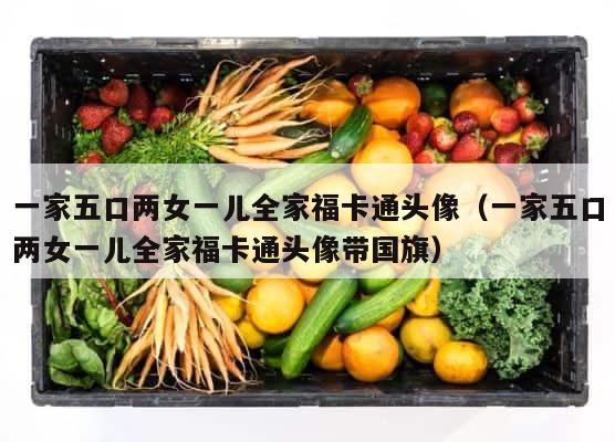 一家五口两女一儿全家福卡通头像（一家五口两女一儿全家福卡通头像带国旗） 第1张
