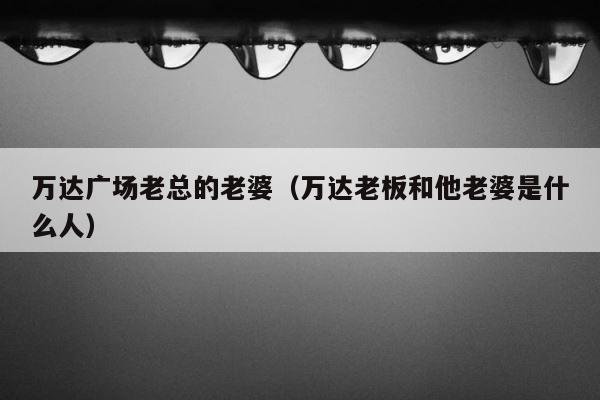 万达广场老总的老婆（万达老板和他老婆是什么人） 第1张