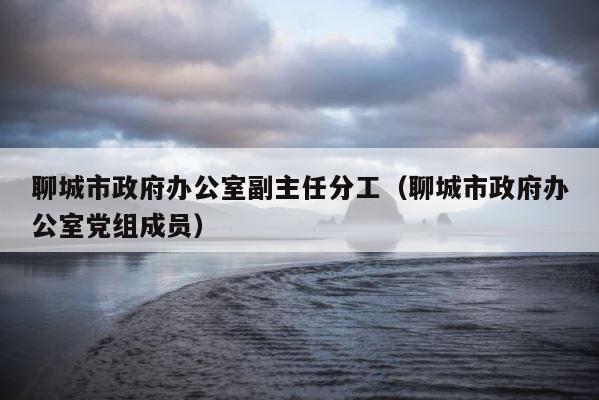 聊城市政府办公室副主任分工（聊城市政府办公室党组成员） 第1张