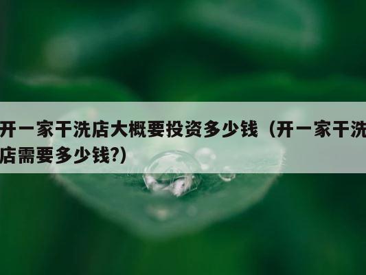 开一家干洗店大概要投资多少钱（开一家干洗店需要多少钱?） 第1张