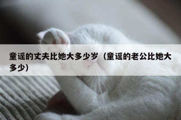 童谣的丈夫比她大多少岁（童谣的老公比她大多少） 第1张