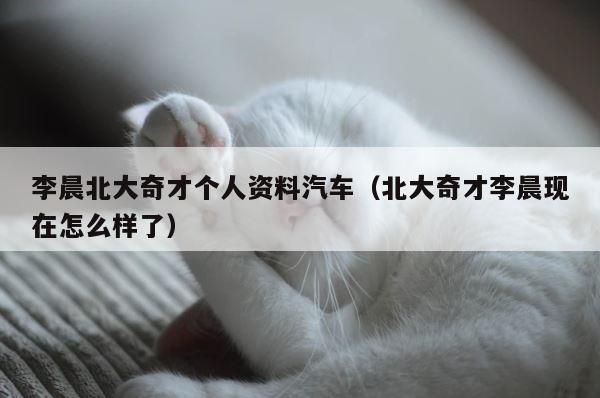 李晨北大奇才个人资料汽车（北大奇才李晨现在怎么样了） 第1张
