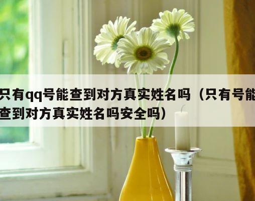 只有qq号能查到对方真实姓名吗（只有号能查到对方真实姓名吗安全吗） 第1张
