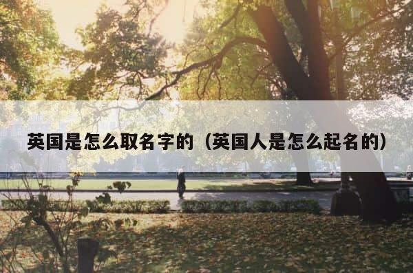 英国是怎么取名字的（英国人是怎么起名的） 第1张