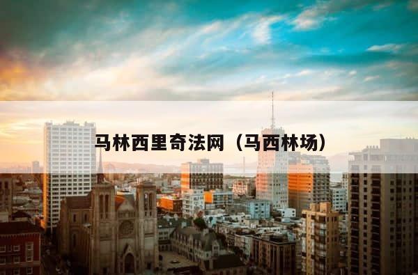 马林西里奇法网（马西林场） 第1张