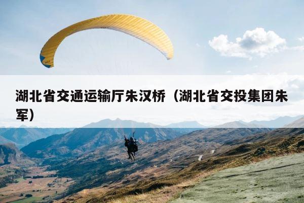 湖北省交通运输厅朱汉桥（湖北省交投集团朱军） 第1张