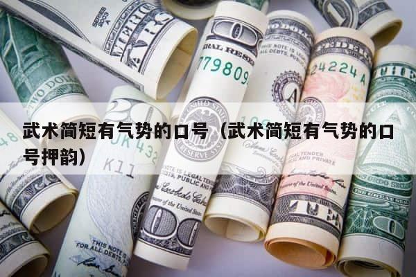 武术简短有气势的口号（武术简短有气势的口号押韵） 第1张