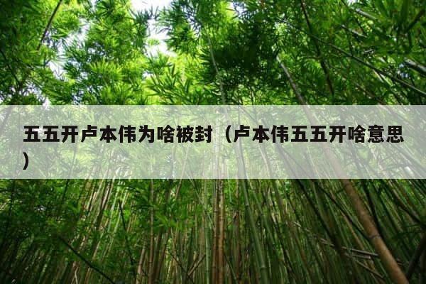 五五开卢本伟为啥被封（卢本伟五五开啥意思） 第1张