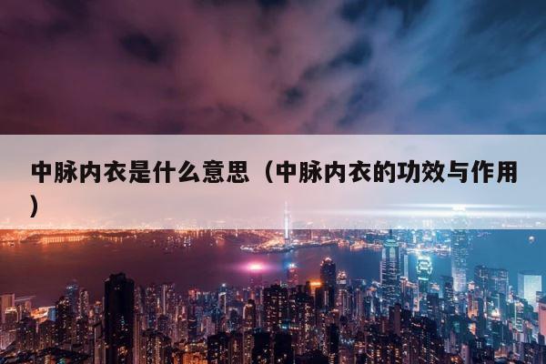 中脉内衣是什么意思（中脉内衣的功效与作用） 第1张