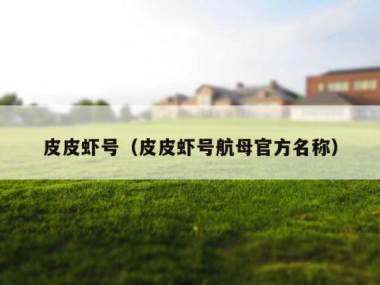 皮皮虾号（皮皮虾号航母官方名称） 第1张