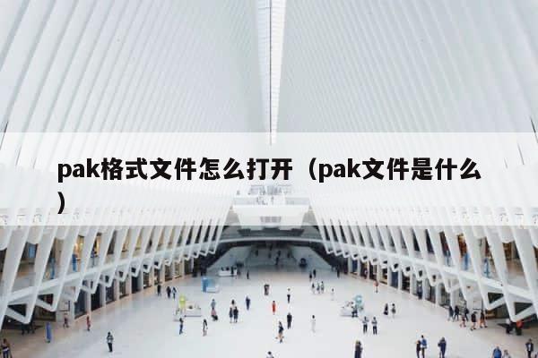 pak格式文件怎么打开（pak文件是什么） 第1张
