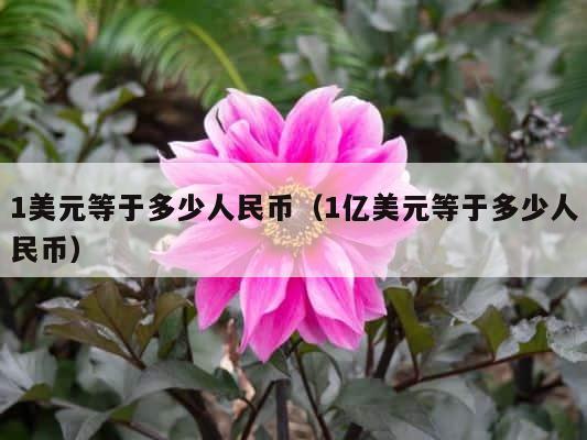 1美元等于多少人民币（1亿美元等于多少人民币） 第1张