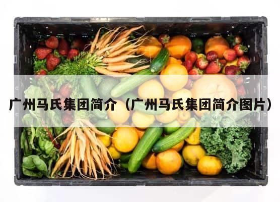 广州马氏集团简介（广州马氏集团简介图片） 第1张