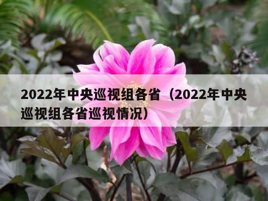 2022年中央巡视组各省（2022年中央巡视组各省巡视情况） 第1张