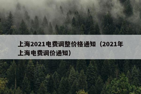上海2021电费调整价格通知（2021年上海电费调价通知） 第1张