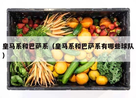 皇马系和巴萨系（皇马系和巴萨系有哪些球队） 第1张