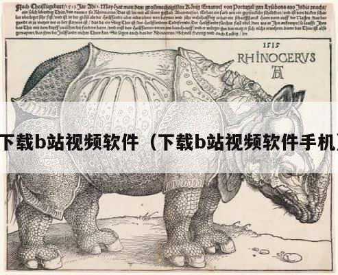 下载b站视频软件（下载b站视频软件手机） 第1张