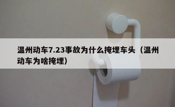 温州动车7.23事故为什么掩埋车头（温州动车为啥掩埋） 第1张