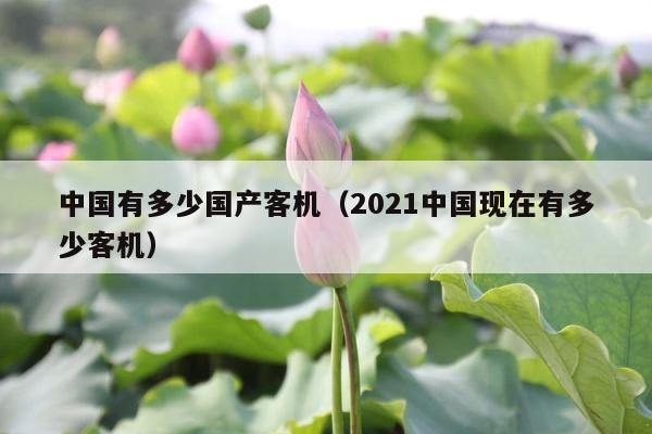 中国有多少国产客机（2021中国现在有多少客机） 第1张