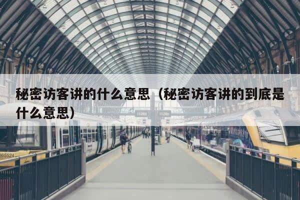 秘密访客讲的什么意思（秘密访客讲的到底是什么意思） 第1张