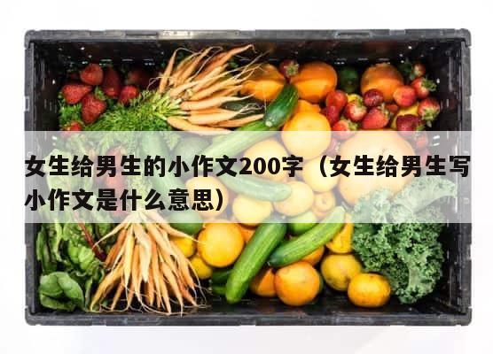 女生给男生的小作文200字（女生给男生写小作文是什么意思） 第1张