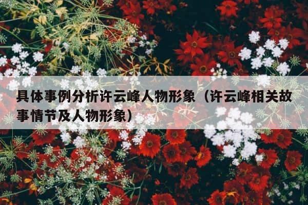 具体事例分析许云峰人物形象（许云峰相关故事情节及人物形象） 第1张