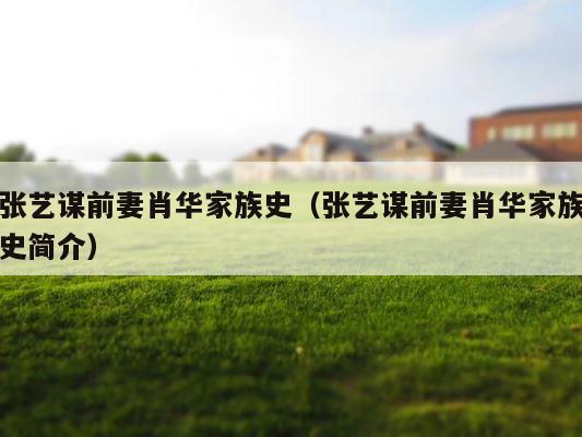 张艺谋前妻肖华家族史（张艺谋前妻肖华家族史简介） 第1张