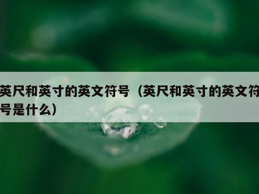 英尺和英寸的英文符号（英尺和英寸的英文符号是什么） 第1张