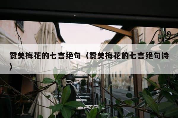 赞美梅花的七言绝句（赞美梅花的七言绝句诗） 第1张