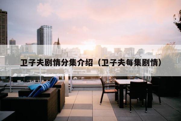 卫子夫剧情分集介绍（卫子夫每集剧情） 第1张
