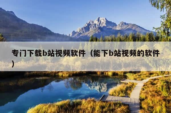 专门下载b站视频软件（能下b站视频的软件） 第1张