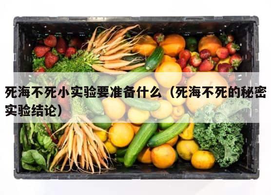 死海不死小实验要准备什么（死海不死的秘密实验结论） 第1张