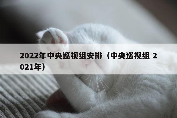 2022年中央巡视组安排（中央巡视组 2021年） 第1张