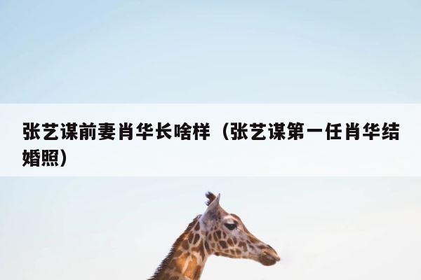张艺谋前妻肖华长啥样（张艺谋第一任肖华结婚照） 第1张