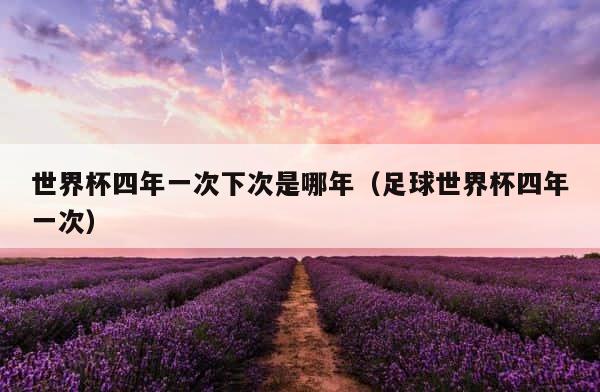 世界杯四年一次下次是哪年（足球世界杯四年一次） 第1张