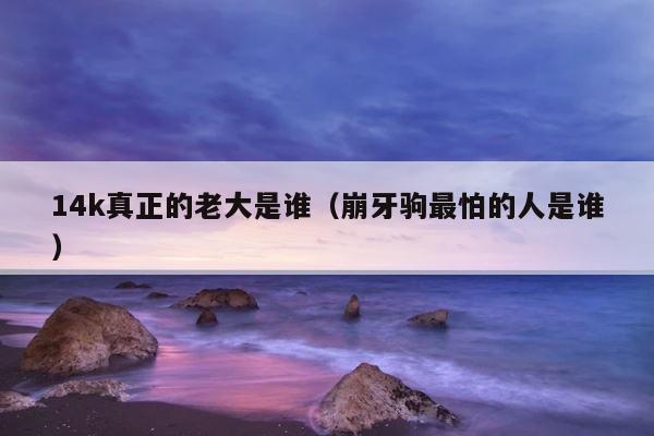 14k真正的老大是谁（崩牙驹最怕的人是谁） 第1张