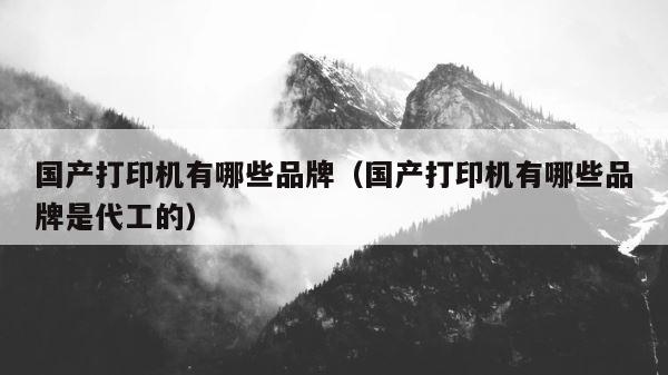 国产打印机有哪些品牌（国产打印机有哪些品牌是代工的） 第1张