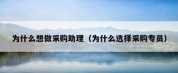 为什么想做采购助理（为什么选择采购专员） 第1张