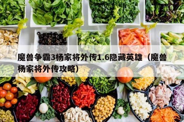 魔兽争霸3杨家将外传1.6隐藏英雄（魔兽杨家将外传攻略） 第1张