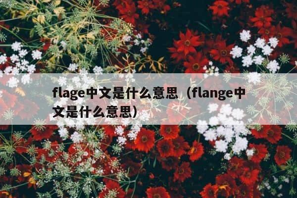 flage中文是什么意思（flange中文是什么意思） 第1张